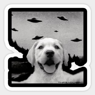 Funny UFO Selfie Labrador Retriever Sticker